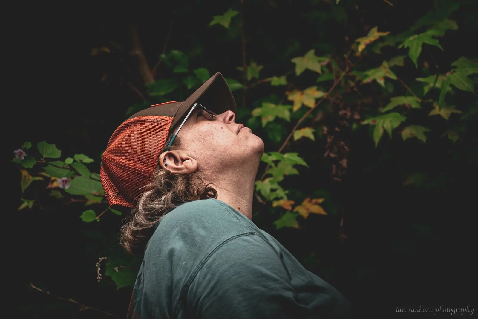 A person in a rust-coloured cap and sunglasses tips their head all the way back to look up into a canopy of green and yellow leaves.