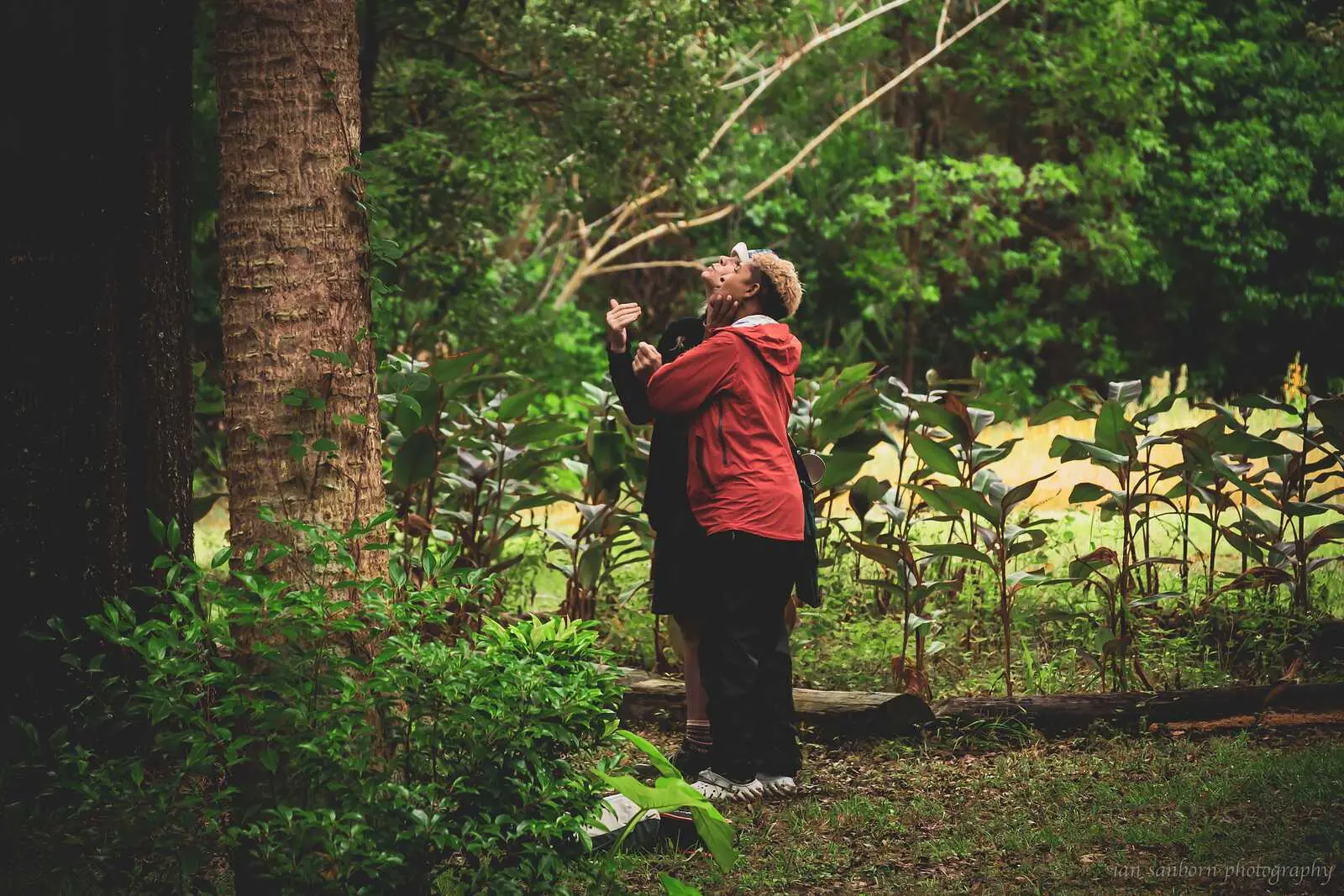A person in a red jacket stands beside a palm trunk with an arm raised and head tilted back toward the branches overhead.