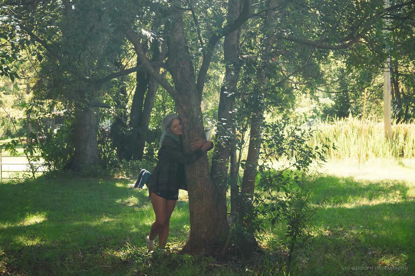 A person leans back against a tree trunk in a sunlit clearing, arms around it, tall grasses and water beyond.